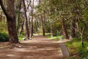 Reserva Pinar del Bosque