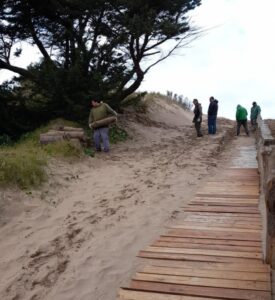 EL CORRALÓN SUR REALIZA MANTENIMIENTO EN  LAS PLAYAS