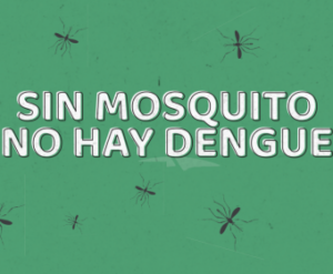 PREVENCIÓN DE DENGUE: UN LLAMADO A LA RESPONSABILIDAD COMUNITARIA