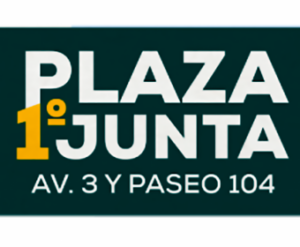 ARTISTAS GESELINOS EN EL ÚLTIMO FIN DE SEMANA DE FEBRERO EN LA PLAZA PRIMERA JUNTA