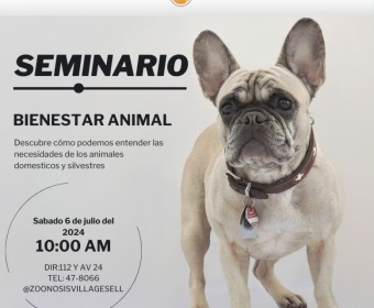 Zoonosis bridara un seminario sobre bienestar animal en Gesell