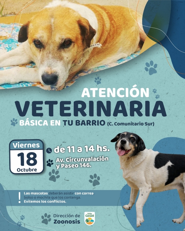 ZOONOSIS REALIZARÁ UNA JORNADA DE ATENCIÓN EN EL CENTRO COMUNITARIO SUR