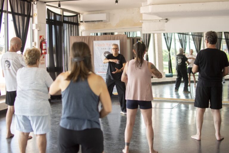 SEMINARIO DE TAI CHI CHUAN Y CHI KUNG