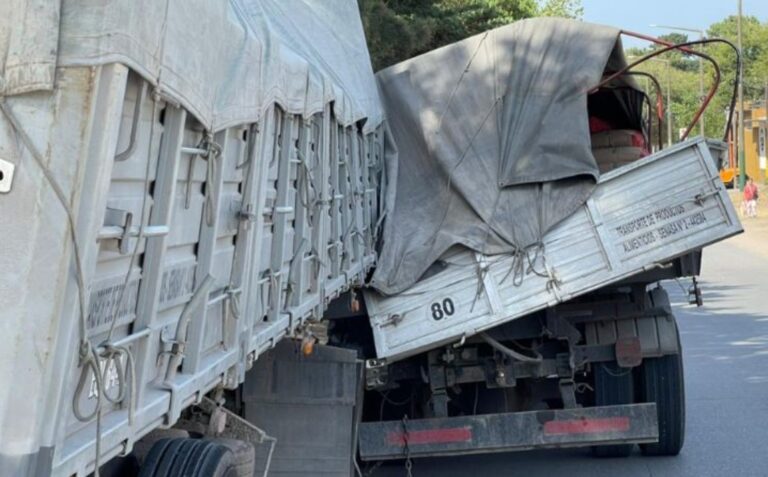 Un camión se accidentó en boulevard
