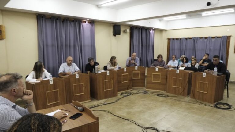 Finalmente, el Concejo logró votar la modificación que beneficia al comercio