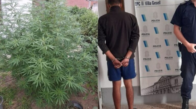Secuestran más de un kilo y medio de marihuana