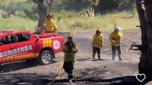 Los bomberos sofocaron un incendio forestal