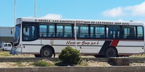 A partir de mañana, Nuevo Bus comenzará a tener servicio reducido