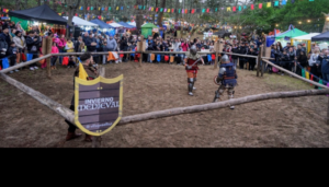 Hoy se comienza a vivir el Invierno Medieval