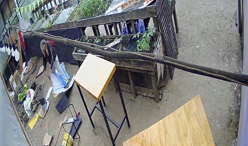 Atrapan a una mujer que causó daños en el vivero municipal